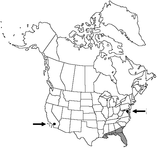 V2 557-distribution-map.gif