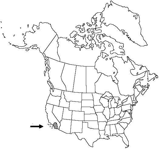 V2 484-distribution-map.gif