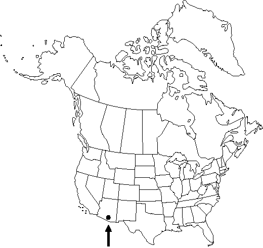 V3 206-distribution-map.gif