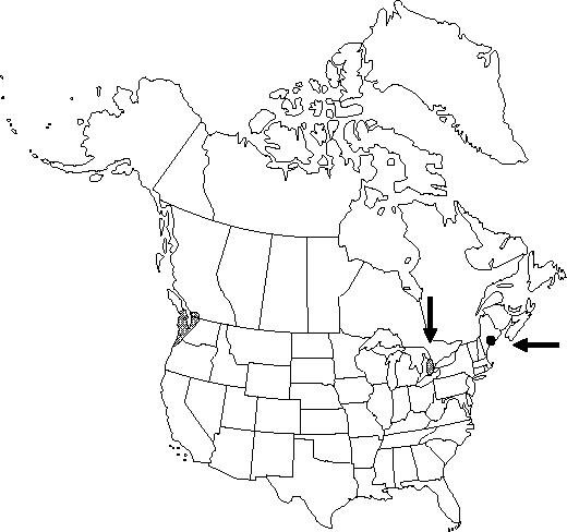 V3 540-distribution-map.gif