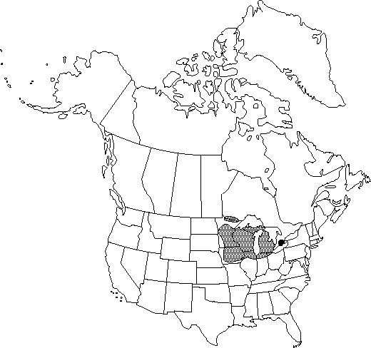 V3 256-distribution-map.gif
