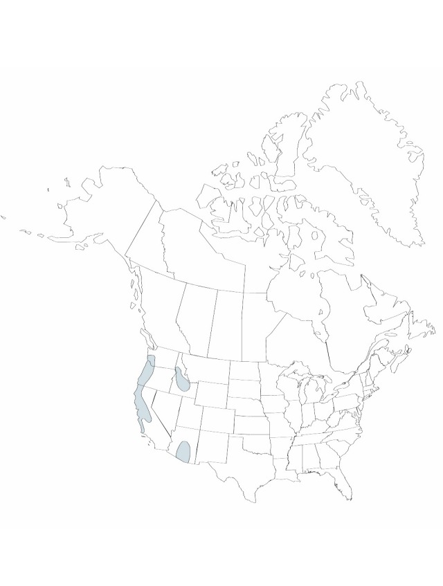 V22 572-distribution-map.jpg