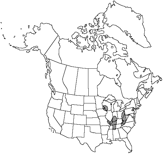 V2 537-distribution-map.gif