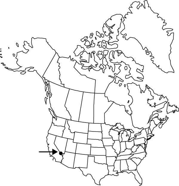 V4 675-distribution-map.gif