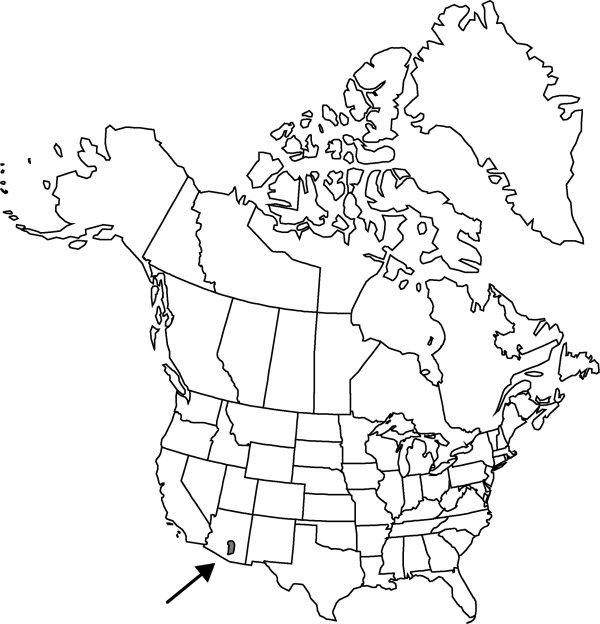 V4 198-distribution-map.gif