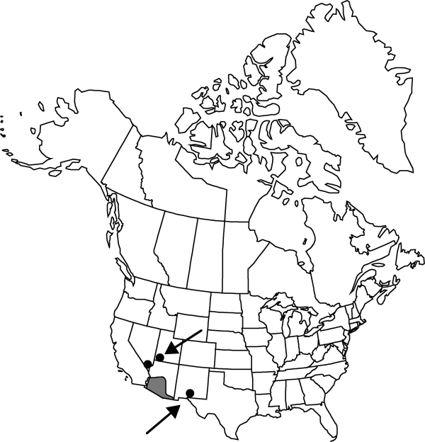 V4 42-distribution-map.gif