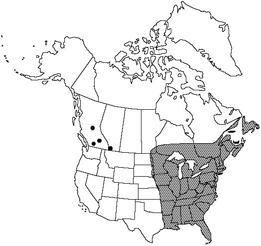 V2 371-distribution-map.gif