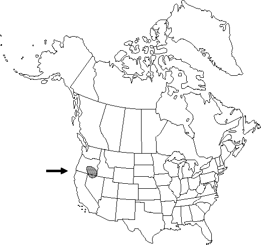 V3 787-distribution-map.gif