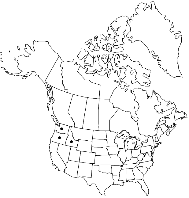 V7 129-distribution-map.gif