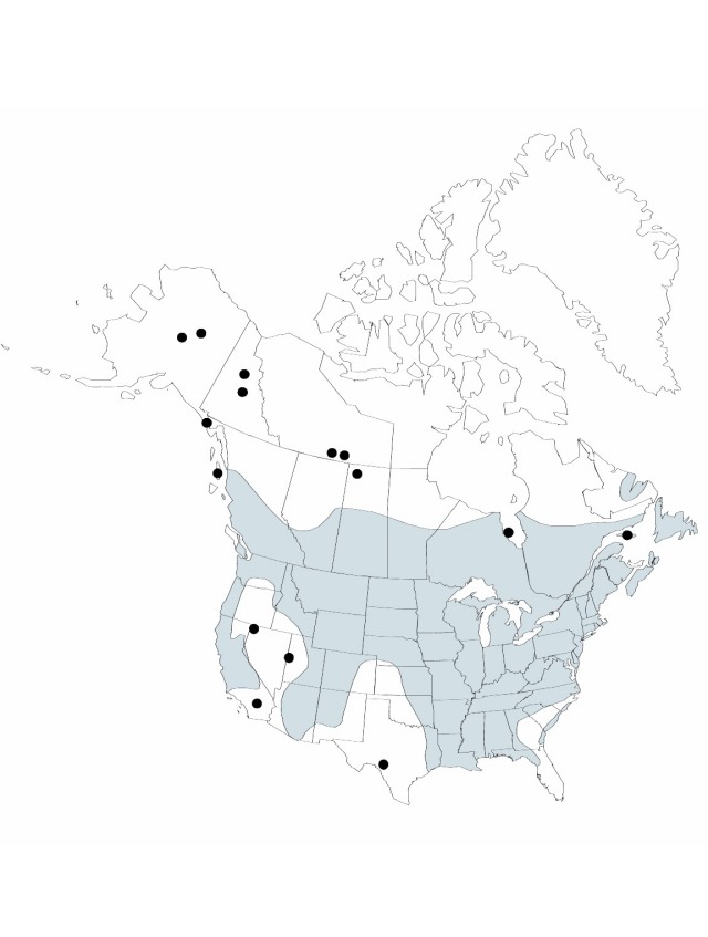 V22 481-distribution-map.jpg
